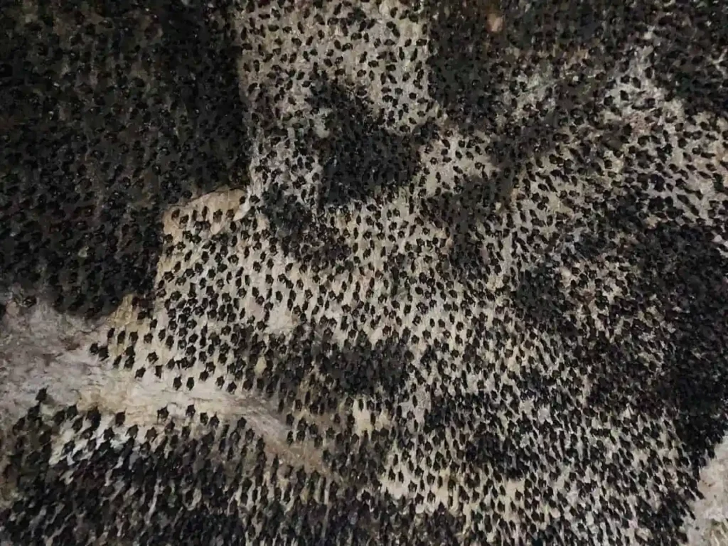 Top 10 short treks from Pokhara