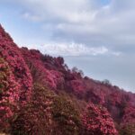 Industrial and Educational Tour in Nepal