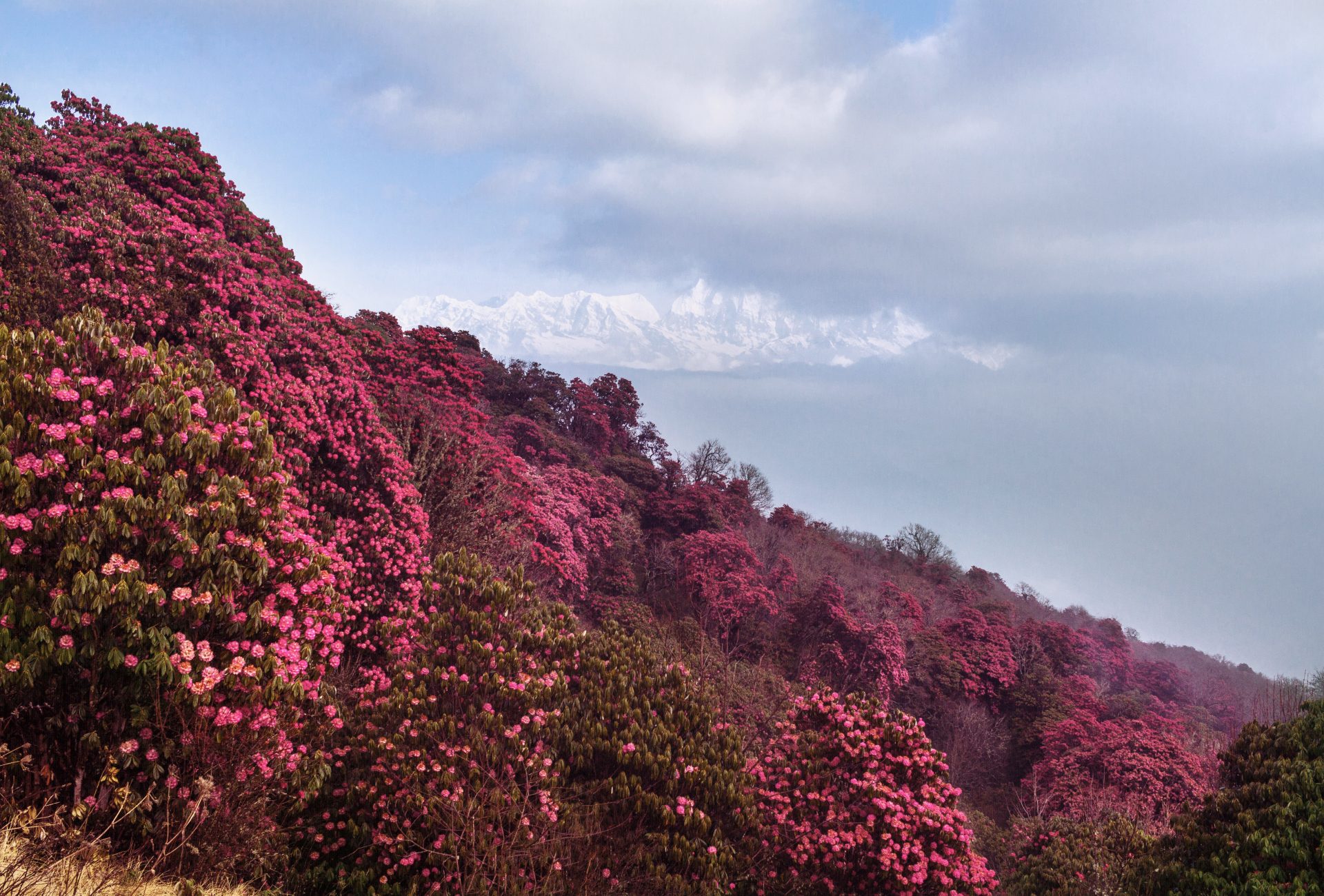 Industrial and Educational Tour in Nepal